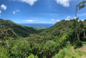 Mauritius: Koko päivän kierros lounaisessa