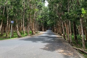 Mauritius: Koko päivän kierros lounaisessa