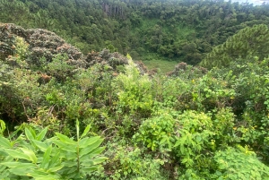 Mauritius: Full-Day Tour with Vallée Adventure Park