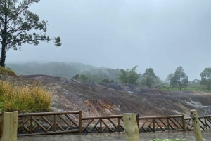 Mauritius: Full-Day Tour with Vallée Adventure Park