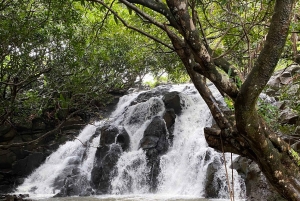 Mauritius: Full-Day Tour with Vallée Adventure Park