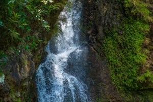 Mauritius: Ganga Talao, Vallé, and Bicycle Zipline