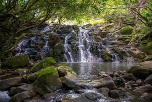 Mauritius: Ganga Talao, Vallé, and Bicycle Zipline
