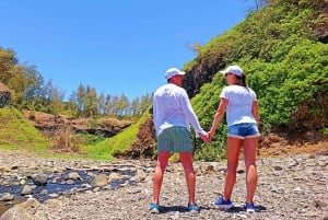 Mauritius: Gris Gris Beach & Mamzelle Waterfall Guided Tour
