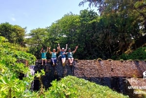 Mauritius: Geführte Tour zum Gris Gris Strand und Mamzelle Wasserfall