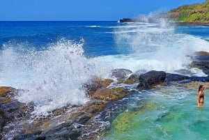 Mauritius: Geführte Tour zum Gris Gris Strand und Mamzelle Wasserfall