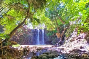 Mauritius: Gris Gris Beach & Mamzelle Waterfall Guided Tour