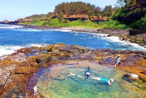 Mauritius: Gris Gris Beach & Mamzelle Waterfall Guided Tour