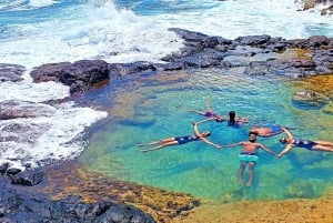 Mauritius: Gris Gris Beach & Mamzelle Waterfall Guided Tour
