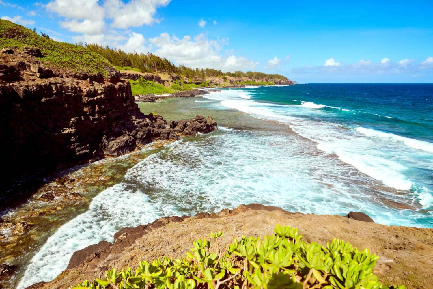 Mauritius: escursione costiera a Gris Gris con una guida locale