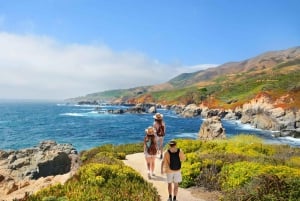 Mauritius: Gris Grisin rannikkovaellus paikallisen oppaan kanssa