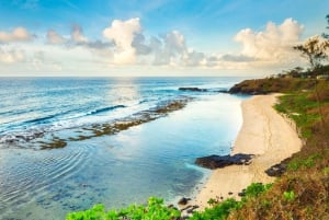 Mauritius: escursione costiera a Gris Gris con una guida locale