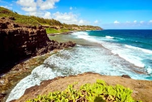 Mauritius: escursione costiera a Gris Gris con una guida locale
