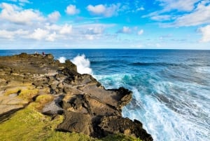 Mauritius: escursione costiera a Gris Gris con una guida locale