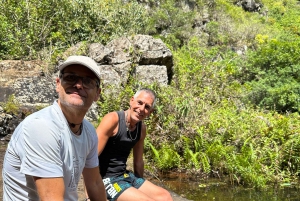 MAURITIUS: Guidet eventyr til Sept Cascades – Tamarind Falls