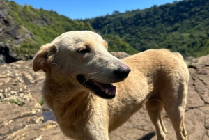 MAURITIUS: Guidet eventyr til Sept Cascades – Tamarind Falls