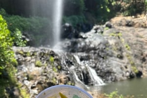 MAURITIUS: Guidet eventyr til Sept Cascades – Tamarind Falls