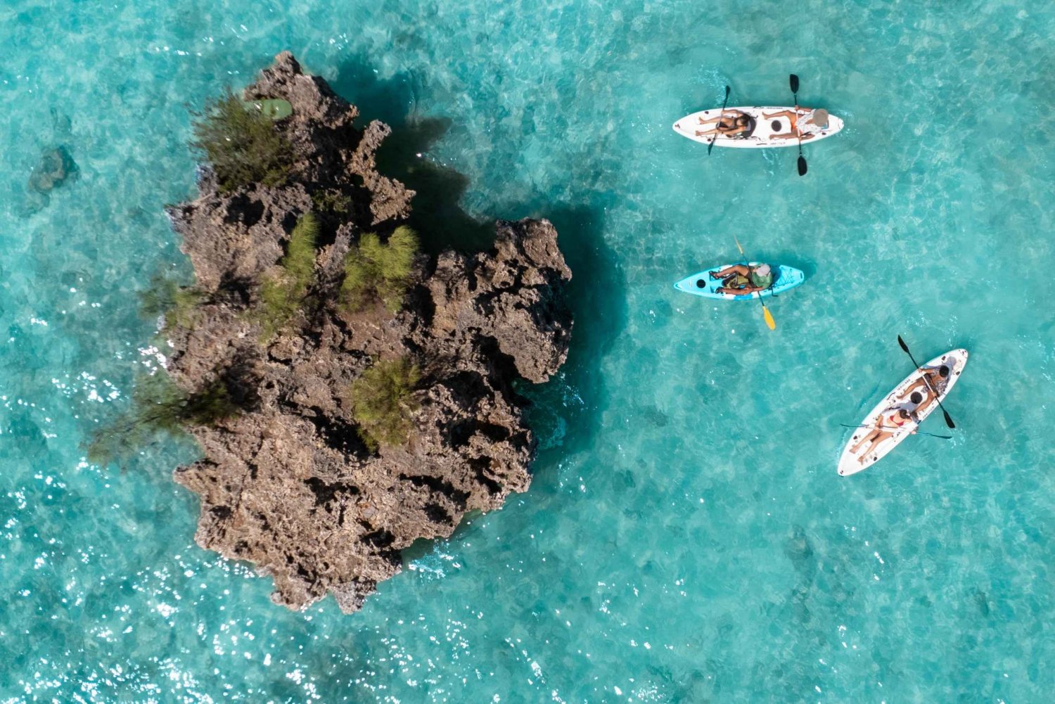 Mauritius: Guided Kayak tour to Benitiers Island