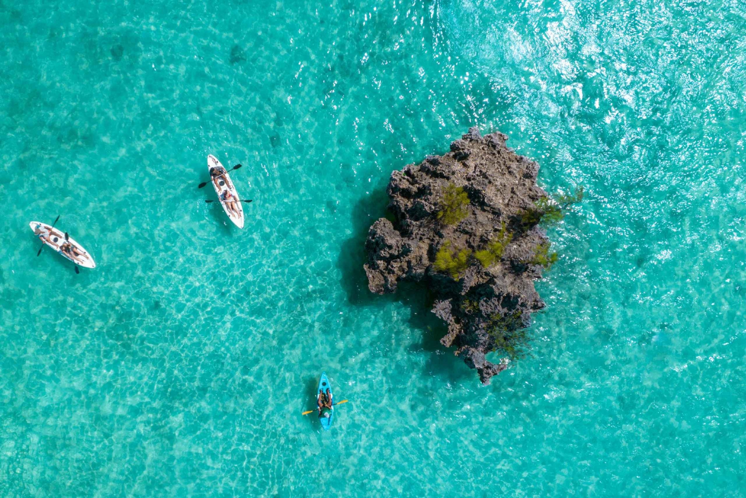 Mauritius: Tour guidato in kayak all'Isola di Benitiers