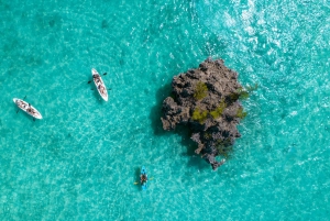 Mauritius: Guided Kayak tour to Benitiers Island