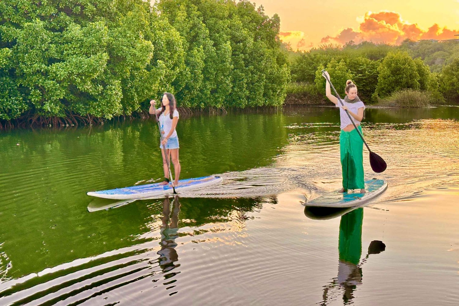 Mauritius: tour guidato in stand up paddle sul fiume Tamarin