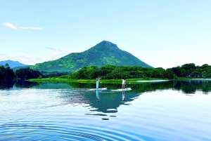Mauritius: Guided Stand Up Paddle Tour on Tamarin River