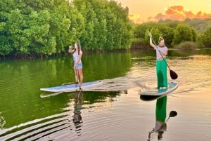 Mauritius: Guidet Stand Up Paddle-tur på Tamarin-floden
