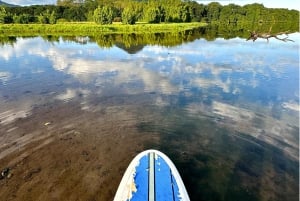 Mauritius: Guidet Stand Up Paddle-tur på Tamarin-floden