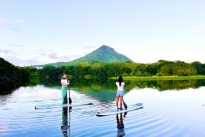 Mauritius: Guidet Stand Up Paddle-tur på Tamarin-floden