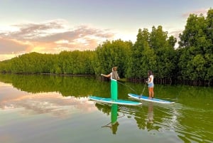 Mauritius: Guidet Stand Up Paddle-tur på Tamarin-floden