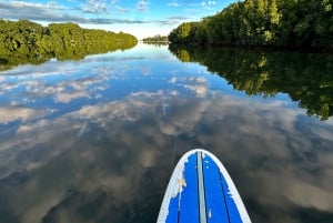Mauritius: Guidet Stand Up Paddle-tur på Tamarin-floden