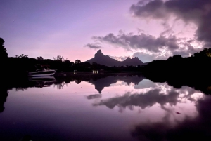 Mauritius: Guided Sunrise Kayak Tour on the Tamarin River