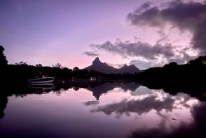 Mauritius: Guided Sunrise Kayak Tour on the Tamarin River