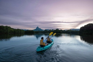 Mauritius: Guided Sunrise Kayak Tour on the Tamarin River