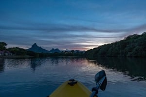 Mauritius: Guided Sunrise Kayak Tour on the Tamarin River