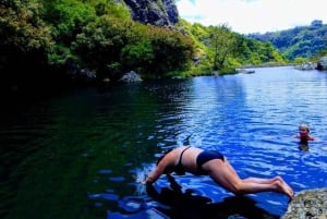 Mauricio: Excursión guiada a las cataratas del Tamarindo con traslados al hotel