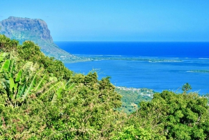 Mauritius: Guided Trip to the Southwest with Safari Tour