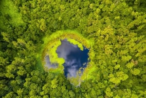 Mauritius: Guidet tur til den sydvestlige del af Mauritius med Safari Tour