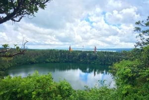 Mauritius: Guidet tur til den sydvestlige del af Mauritius med Safari Tour