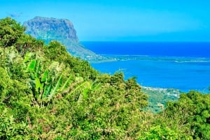 Mauritius: Guidet tur til den sydvestlige del af Mauritius med Safari Tour
