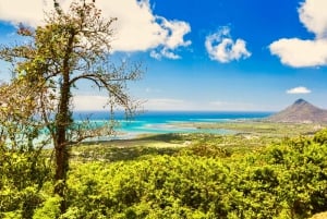 Mauritius: Guidet tur til den sydvestlige del af Mauritius med Safari Tour