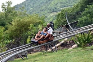 Mauritius: Guidet tur til den sydvestlige del af Mauritius med Safari Tour