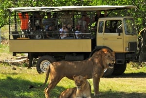 Mauritius: Guidet tur til den sydvestlige del af Mauritius med Safari Tour