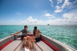 Mauritius: Half-Day Private Speedboat Tour from Blue Bay