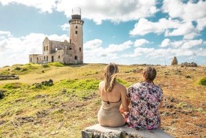 Mauritius: Half-Day Private Speedboat Tour from Blue Bay