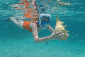 Mauritius: Half-Day Private Speedboat Tour from Blue Bay