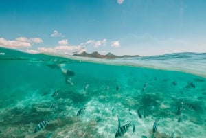 Mauritius: Half-Day Private Speedboat Tour from Blue Bay