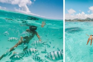 Mauritius: Half-Day Private Speedboat Tour from Blue Bay