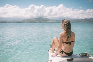 Mauritius: Half-Day Private Speedboat Tour from Blue Bay