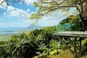 Mauritius: Upptäcktsresa med dolda vattenfall med upphämtning